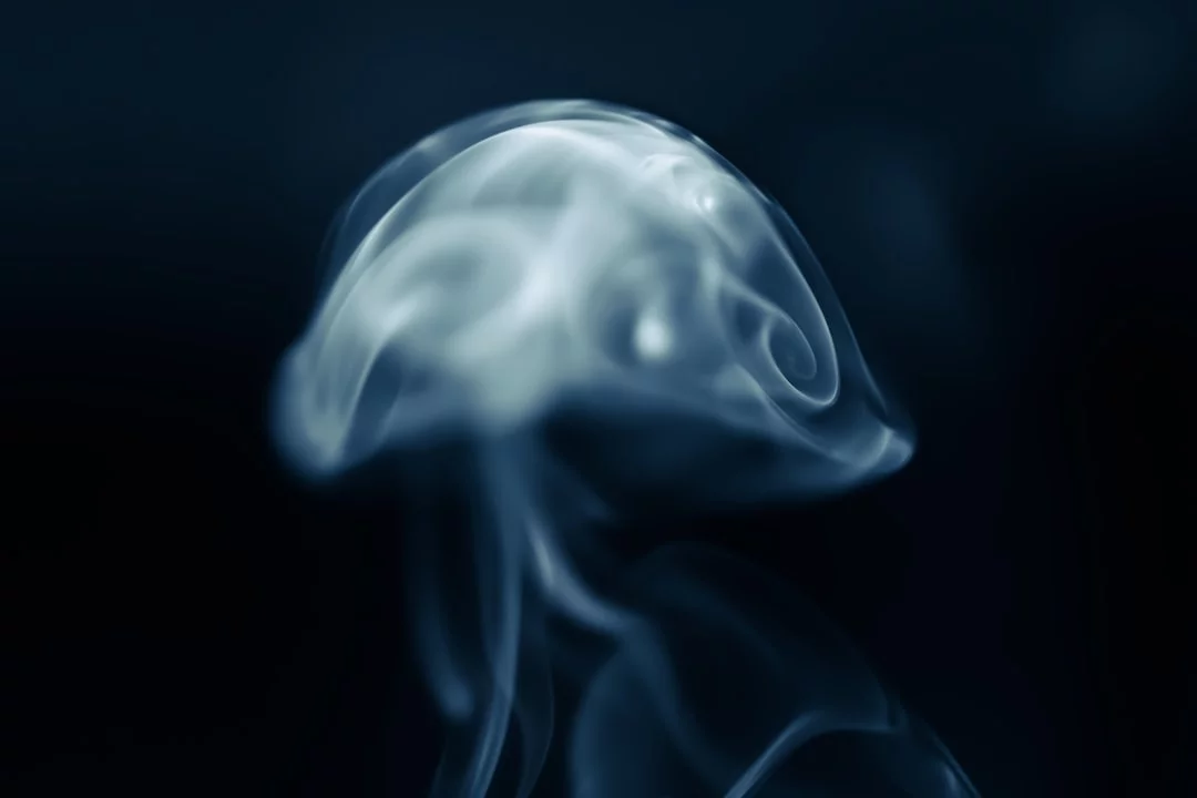Can Stress Cause Memory Loss? What the Evidence Says Illustration of oxidative stress in the brain exploring can stress cause memory loss and mental clarity