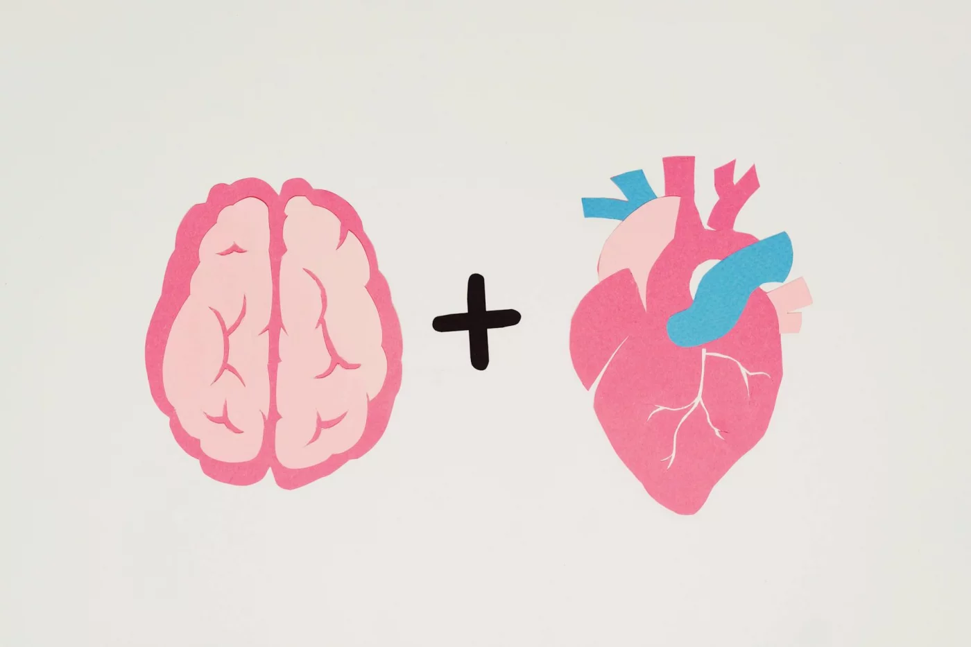 Can Stress Cause Memory Loss? What the Evidence Says Brain and heart illustration showing how can stress cause memory loss and affect emotional balance