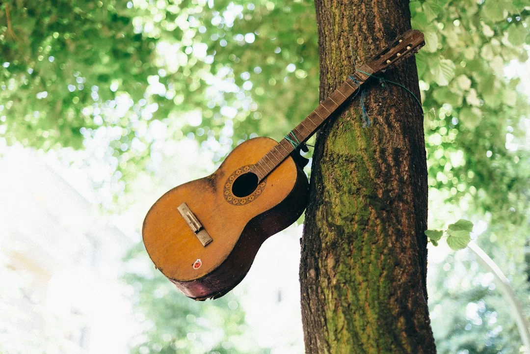 Music vs Background Noise for Studying Brown acoustic guitar on a tree, exploring does music help you study or distract you and how sound affects focus