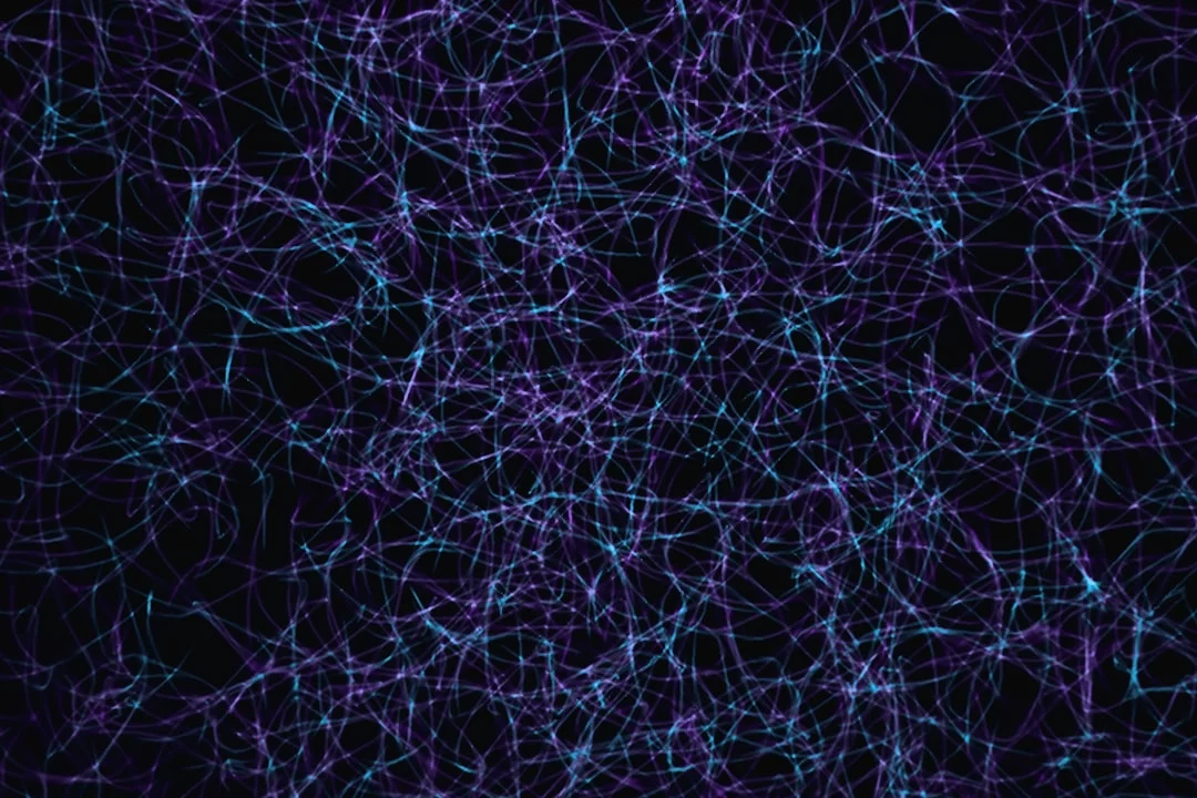 Dopamine, anticipation, and motivation: 7 neuroscience-backed insights Graph of dopamine anticipation of reward showing reward prediction error and tonic vs phasic dopamine signals