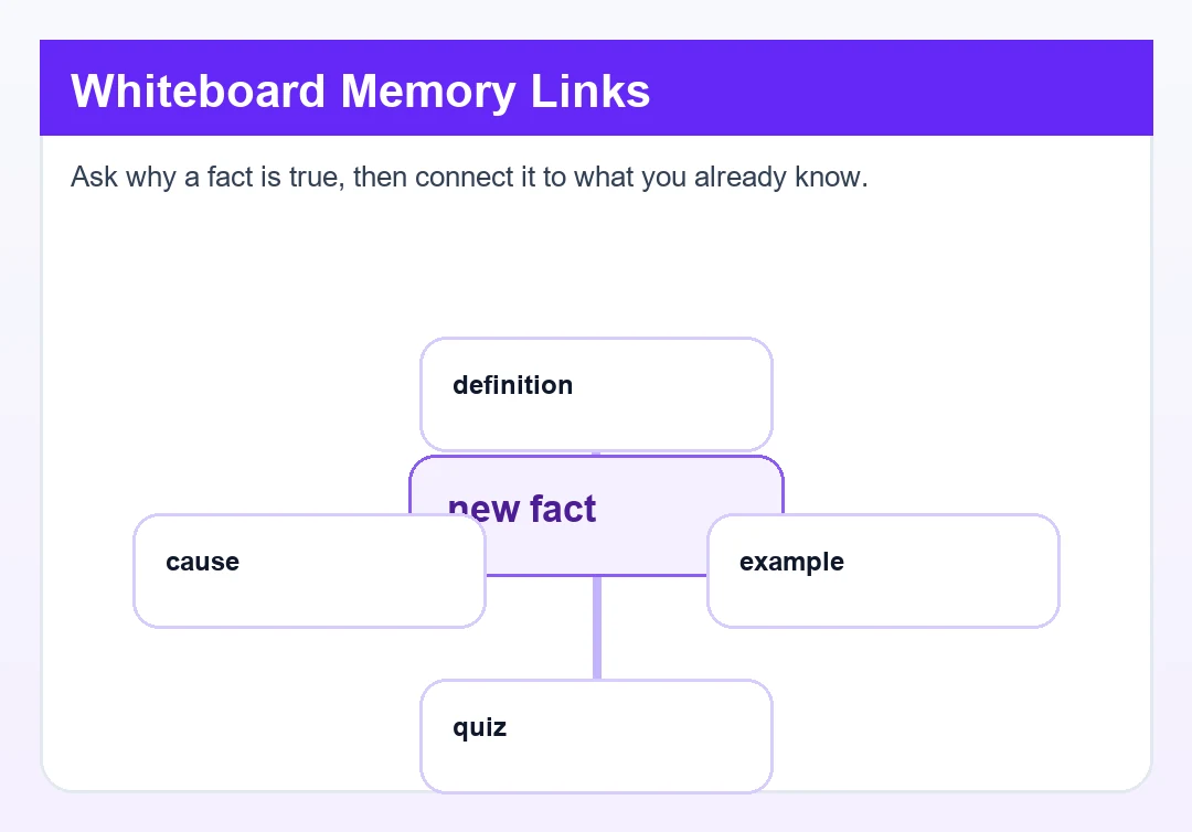 Elaborative Rehearsal Examples That Make Material Stick Woman writing memory links on a whiteboard as an example of elaborative rehearsal for quick learning