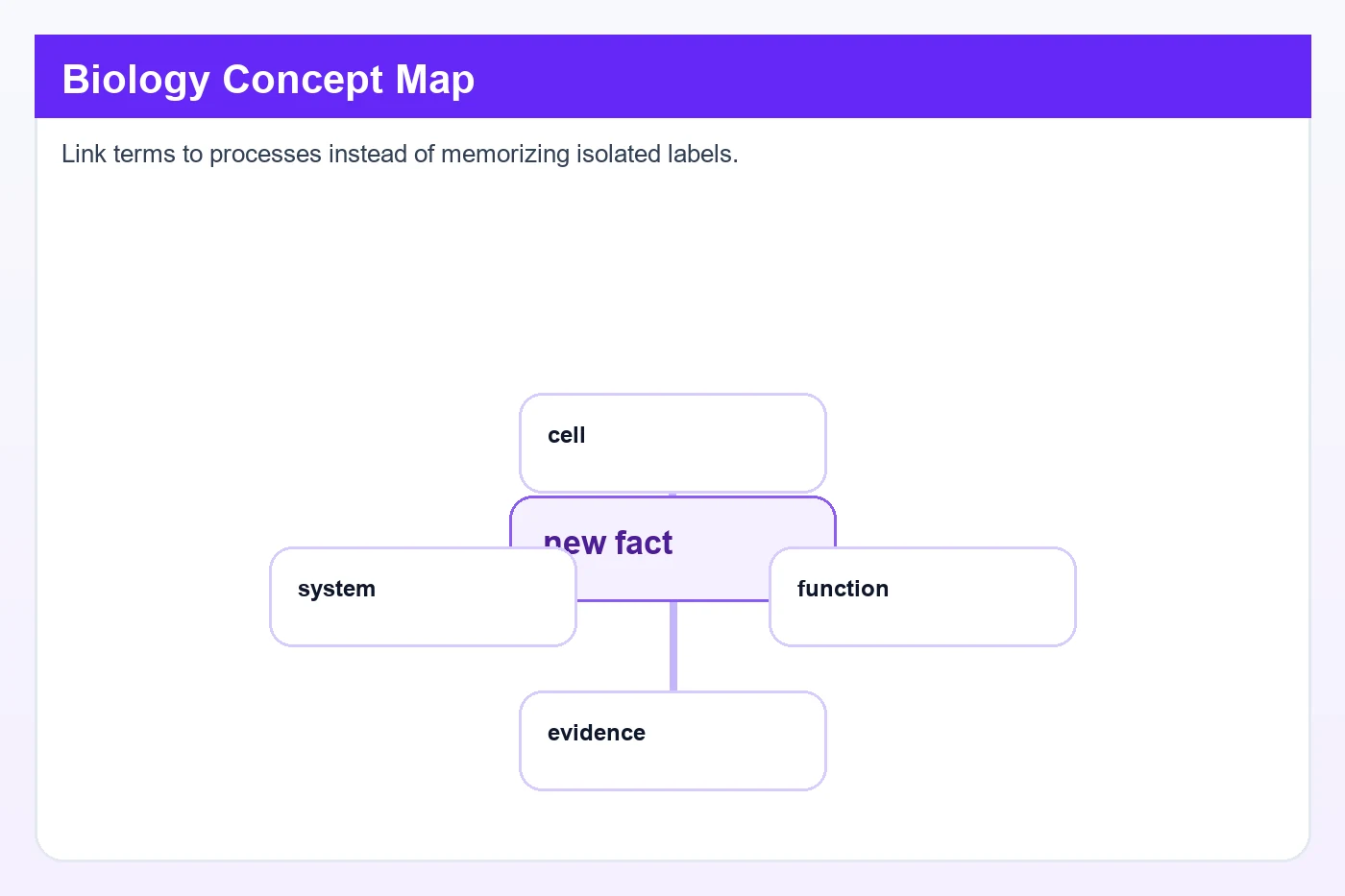 Elaborative Rehearsal Examples That Make Material Stick Teen student writing biology terms on a whiteboard, an example of elaborative rehearsal in classroom study