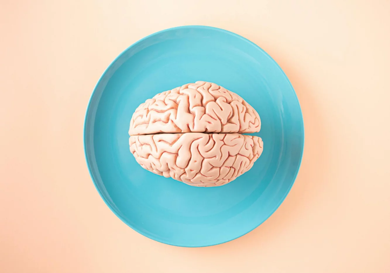 Brain model on blue plate illustrating how do you rewire your brain with neuroplasticity through daily home exercises