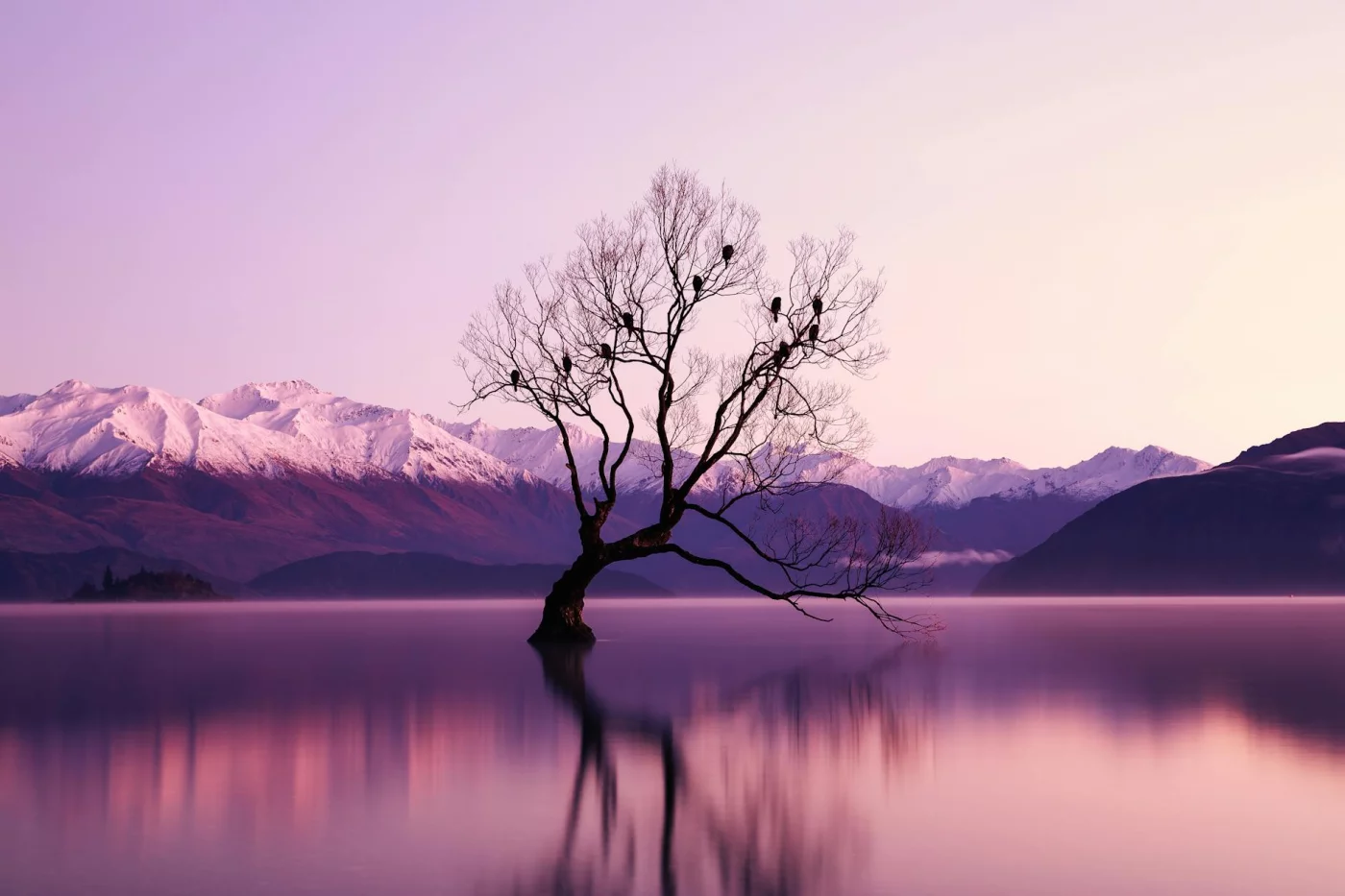 No-Phone Morning Routine: 9 Proven Benefits + Distraction-Free Templates Dawn landscape with lone tree in a lake, illustrating no phone morning routine benefits in a distraction-free 8-step guide