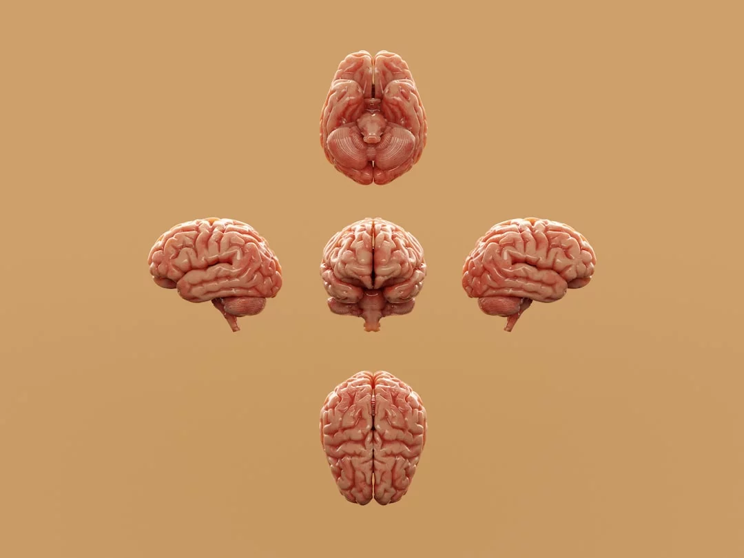 What Are Early Signs of Cognitive Decline? 7 Warning Signs to Know Brain illustrations highlighting what are early signs of cognitive decline and when changes may be concerning