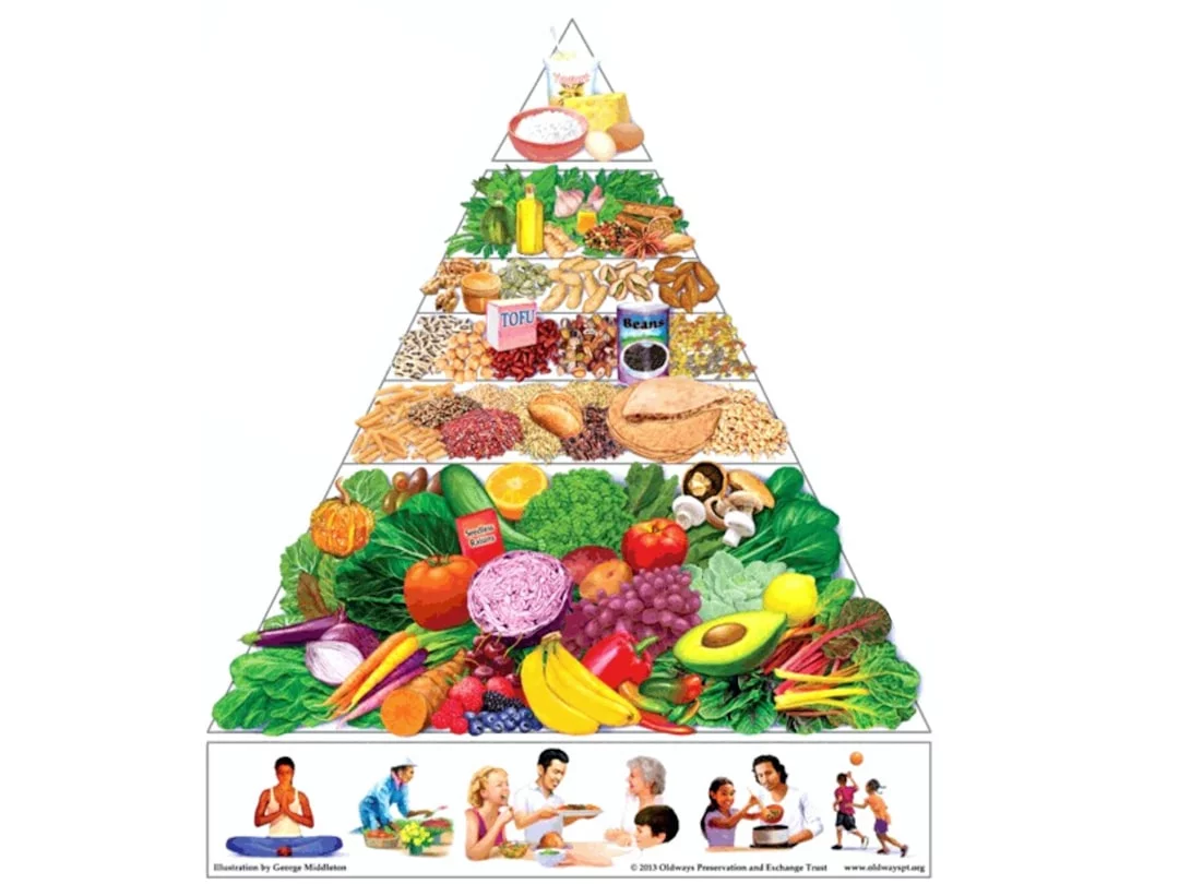 7-Day MIND Diet for Brain Health: What the Research Shows Food pyramid with fruits and vegetables illustrating what human studies show about the 7 day MIND diet