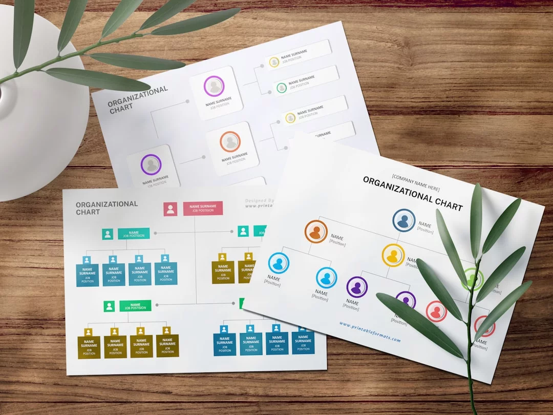 Can Working Memory Be Improved for Real-World Tasks? Program comparison papers on a table with a plant, asking can working memory be trained effectively