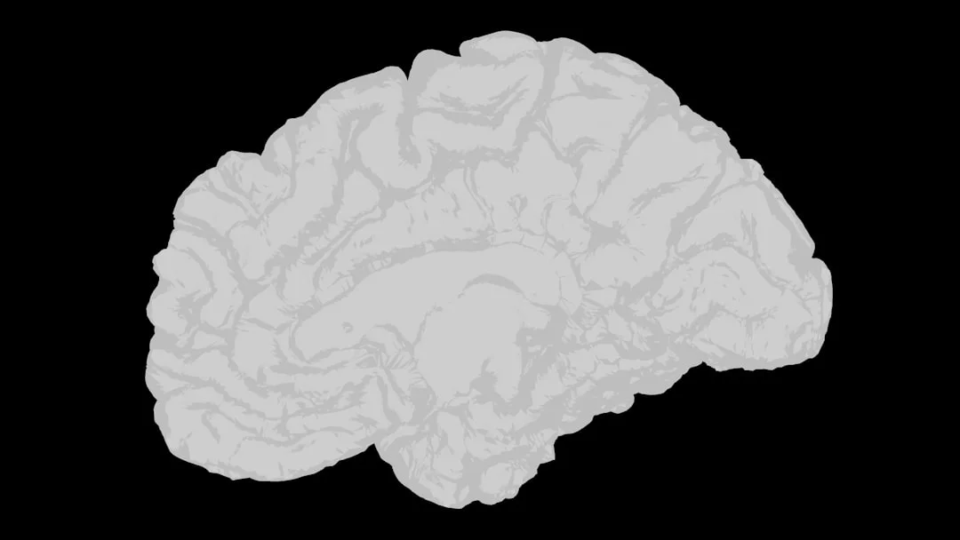 White brain on a black background illustrating how to improve memory and concentration naturally