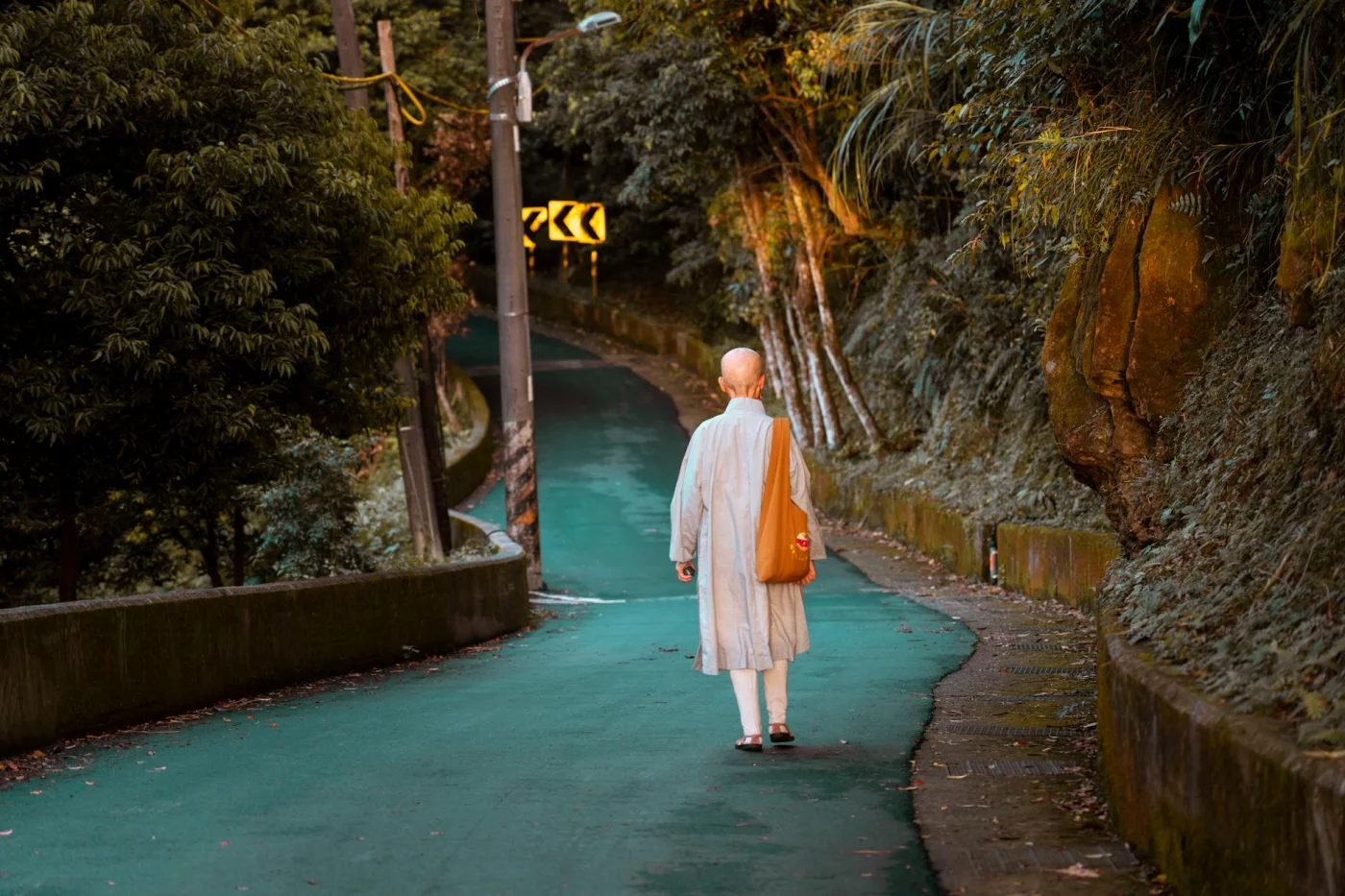 How to Meditate While Walking: A Beginner-Friendly Daily Practice Forest path scene illustrating how to meditate while walking during a peaceful daytime stroll