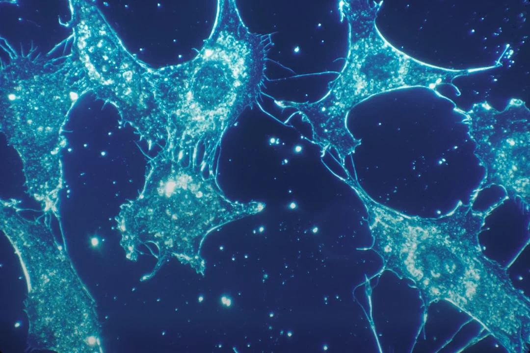 What Are the Sites Where Neurons Communicate? Synapses, Explained Diagram-style close-up illustrating synapse function and key neuron parts against a blue background