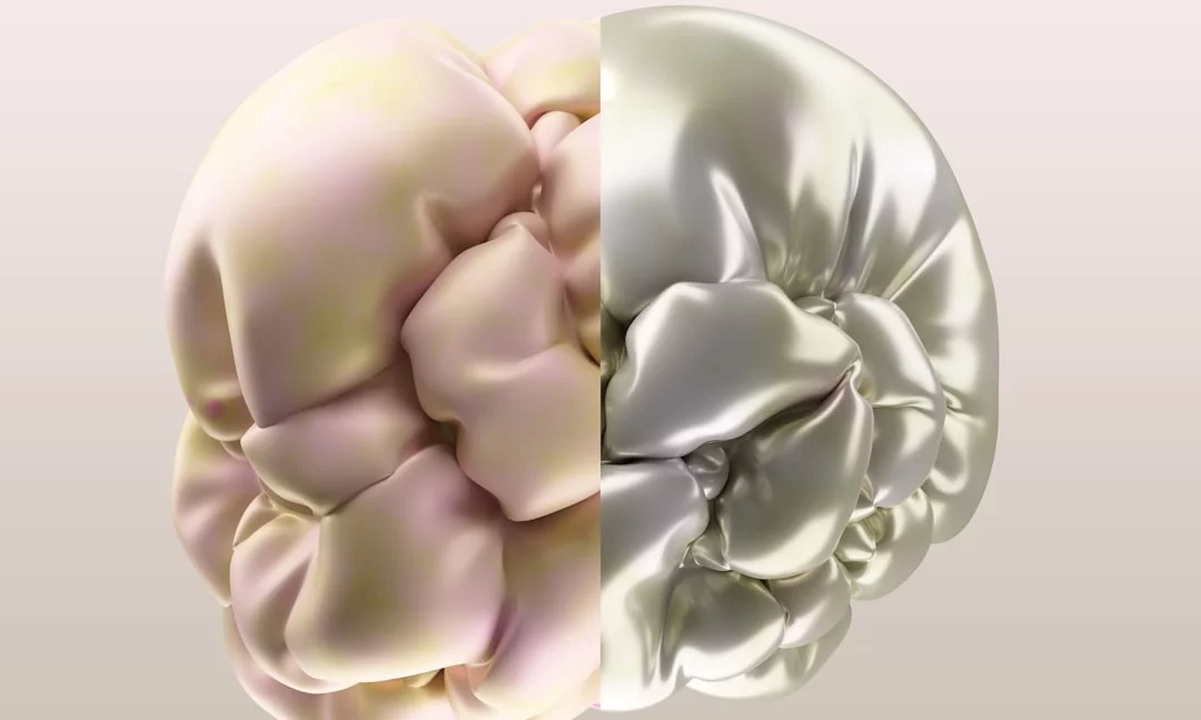 What Muscle Memory Really Means in the Brain Illustration showing what is muscle memory in the brain, with two contrasting brain halves representing storage and learning