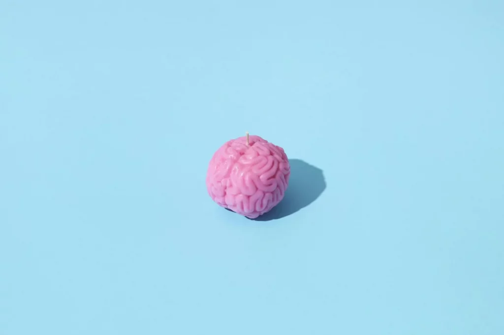 Brain-shaped candle illustrating what part of the brain controls memory and concentration on a blue background