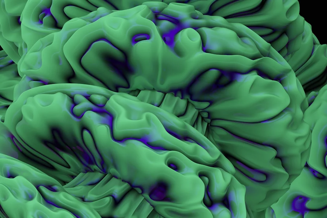 What Part of the Brain Controls Motivation? Diagram showing how motivation works step by step and what part of the brain controls motivation