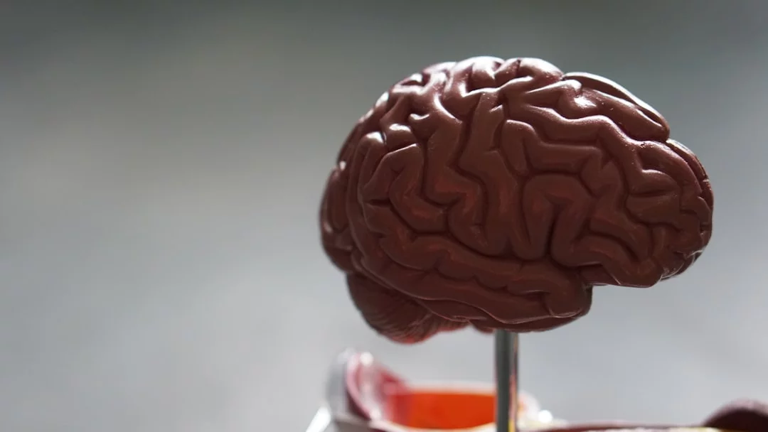 Brown brain illustration for FAQs on addicted brain vs normal brain differences and recovery questions