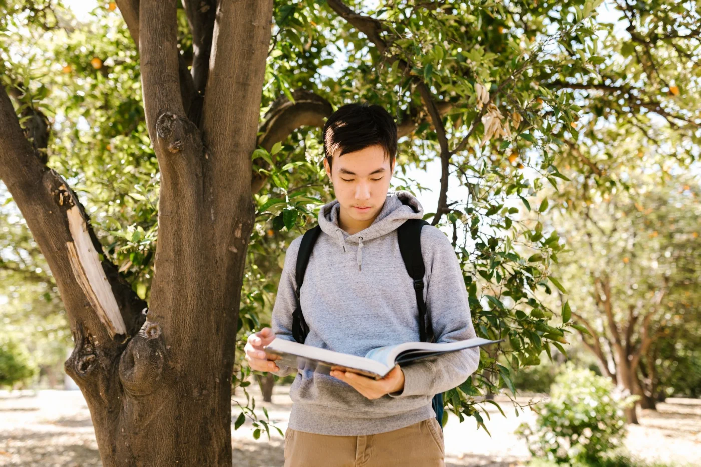 How to Improve Memory Recall With Evidence-Based Study Methods Student reading under a tree while learning how to improve memory recall with a focused study plan